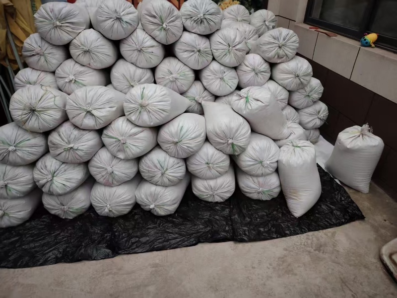 沙苑子陕西渭南大荔药材大量有货厂家直发