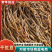 陕西汉中洋县干豇豆货源充足，热销中