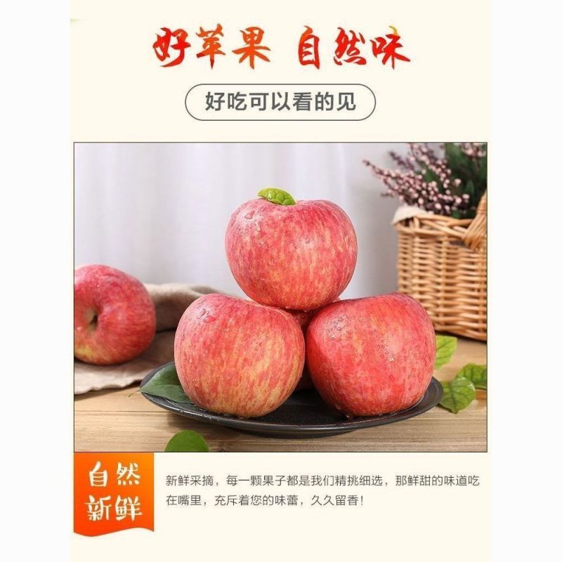 【大量上市】陕西洛川红富士苹果产地一手货源量大从优