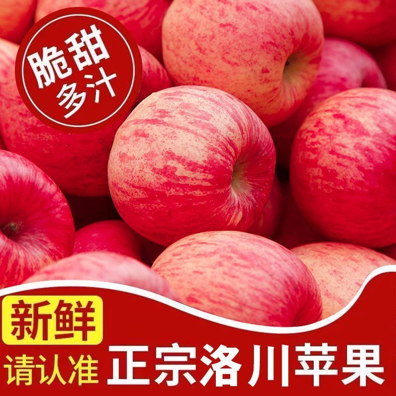 【大量上市】陕西洛川红富士苹果产地一手货源量大从优