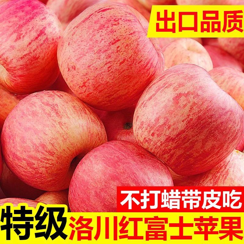 【大量上市】陕西洛川红富士苹果产地一手货源量大从优