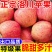 【大量上市】陕西洛川红富士苹果产地一手货源量大从优