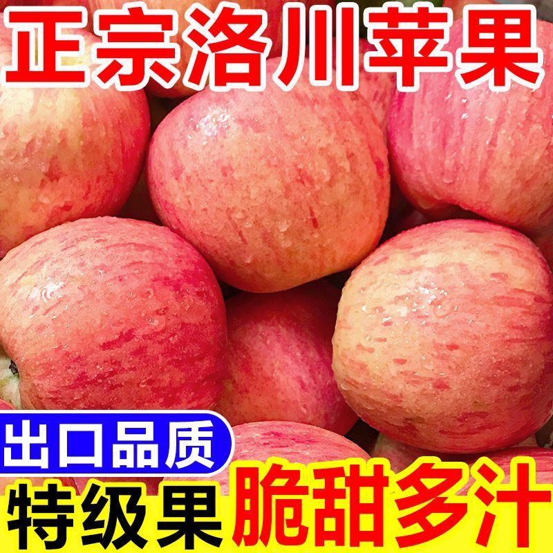 【大量上市】陕西洛川红富士苹果产地一手货源量大从优