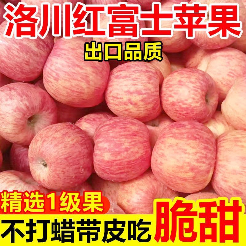 【大量上市】陕西洛川红富士苹果产地一手货源量大从优
