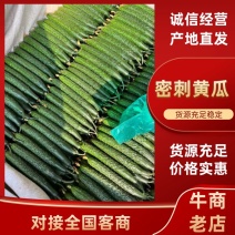 黄瓜~刺黄瓜。产地直发，欢迎来电