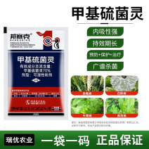 70%甲基硫菌灵农用杀菌剂水稻纹枯病稻瘟病叶斑病赤霉病