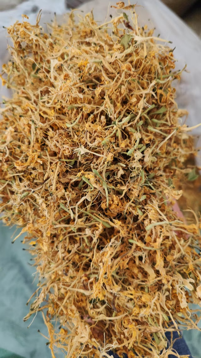 纯野生金银花优质金银花颜色好批发零售各种中药材