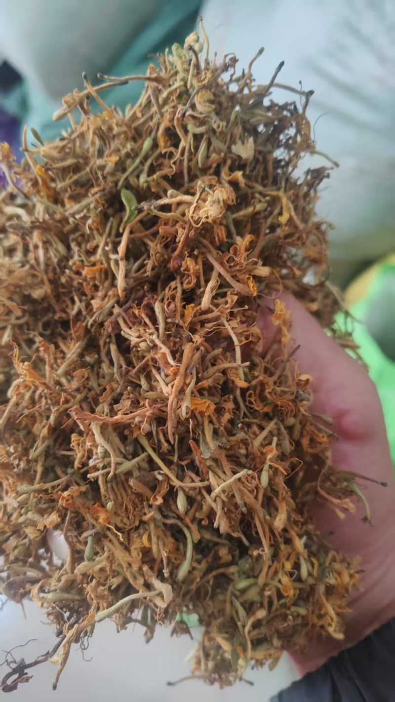 纯野生金银花优质金银花颜色好批发零售各种中药材