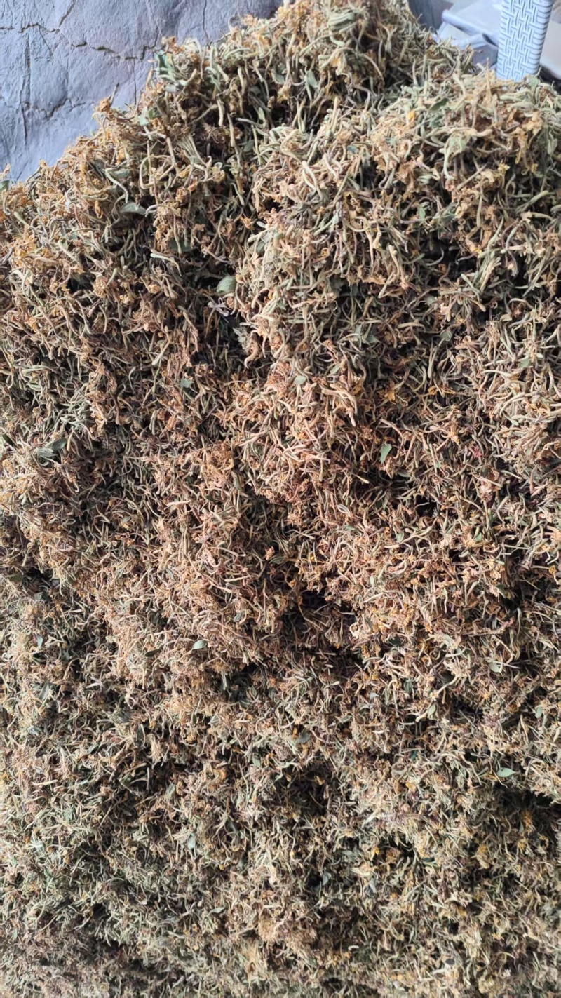 纯野生金银花优质金银花颜色好批发零售各种中药材