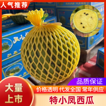 特小凤西瓜皮薄甜度高包熟包甜供应市场电商商超