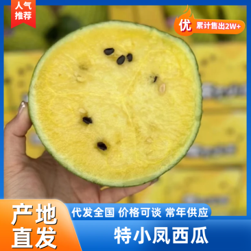 【持续供货】特小凤西瓜沭阳特小凤西瓜提供一条龙服务