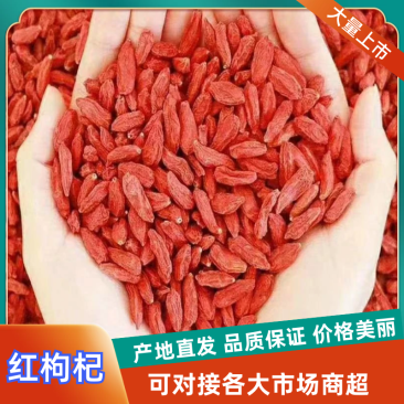 宁夏枸杞精选烘干红枸品质保证量大从优全国发货
