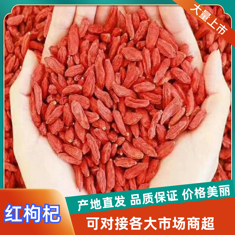 宁夏枸杞精选烘干红枸品质保证量大从优全国发货