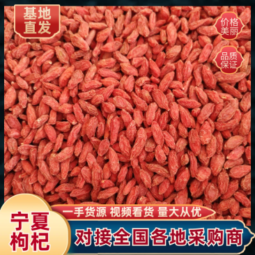 中宁枸杞精选红枸杞支持批发零售产地直发品质保证