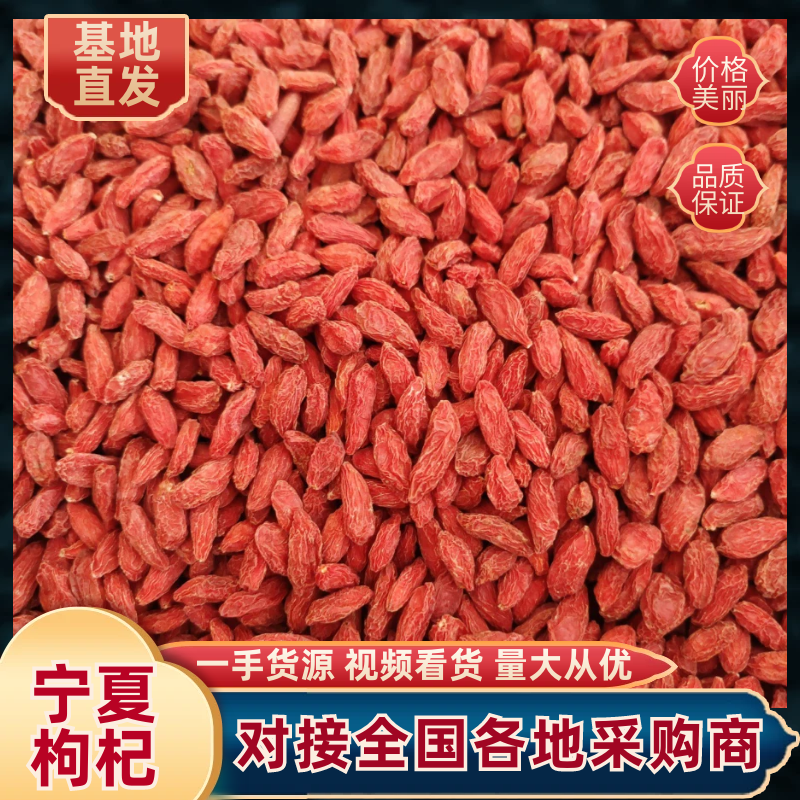 中宁枸杞精选红枸杞支持批发零售产地直发品质保证