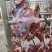 鲜牛肉批发黄牛肉纯干不打水每天现杀现卖支持全国发货
