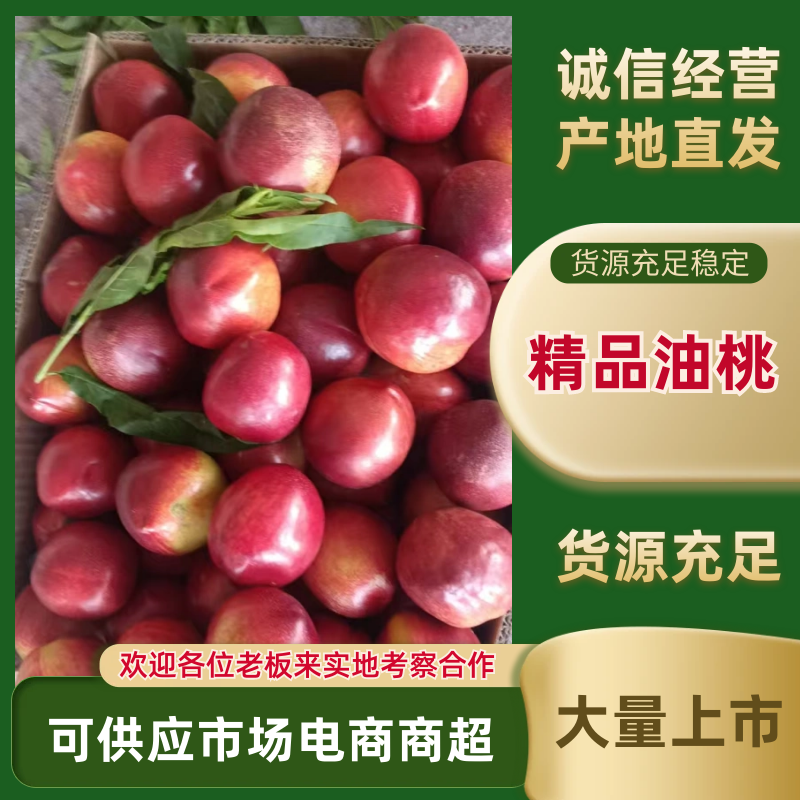 精品油桃现摘现发规格齐全量大从优价格透明视频看
