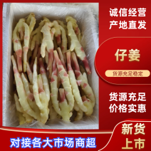 子姜精品生姜产地直发坏烂包赔量大优惠视频看货