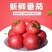 西红柿酱果精品货工厂货常年供应番茄大红蕃茄酱全年供货