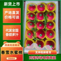 大棚春雪水蜜桃，产地直发，货源充足，可视频看货，量大从优