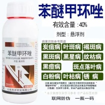40%苯醚甲环唑三唑杀菌剂炭疽病白粉病叶斑病果蔬通用杀菌