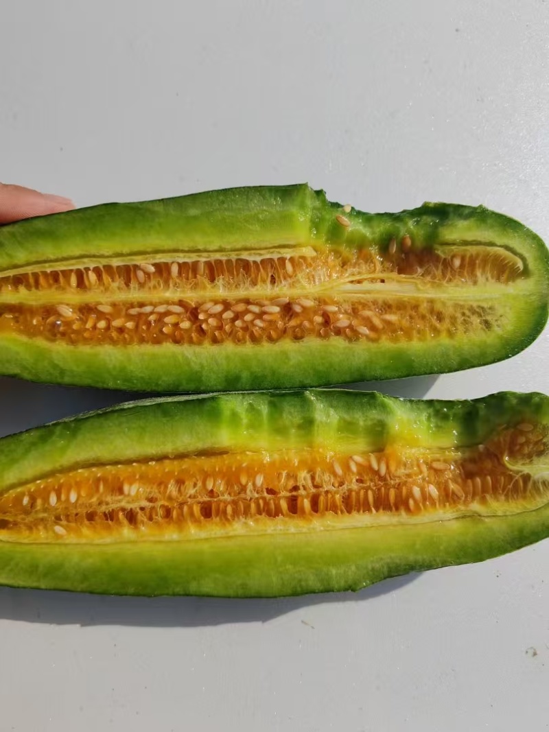 羊角蜜大量上市产地直发价格优惠欢迎来电洽谈价更优