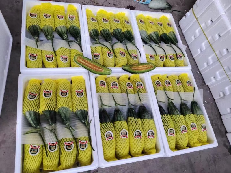 羊角蜜大量上市产地直发价格优惠欢迎来电洽谈价更优