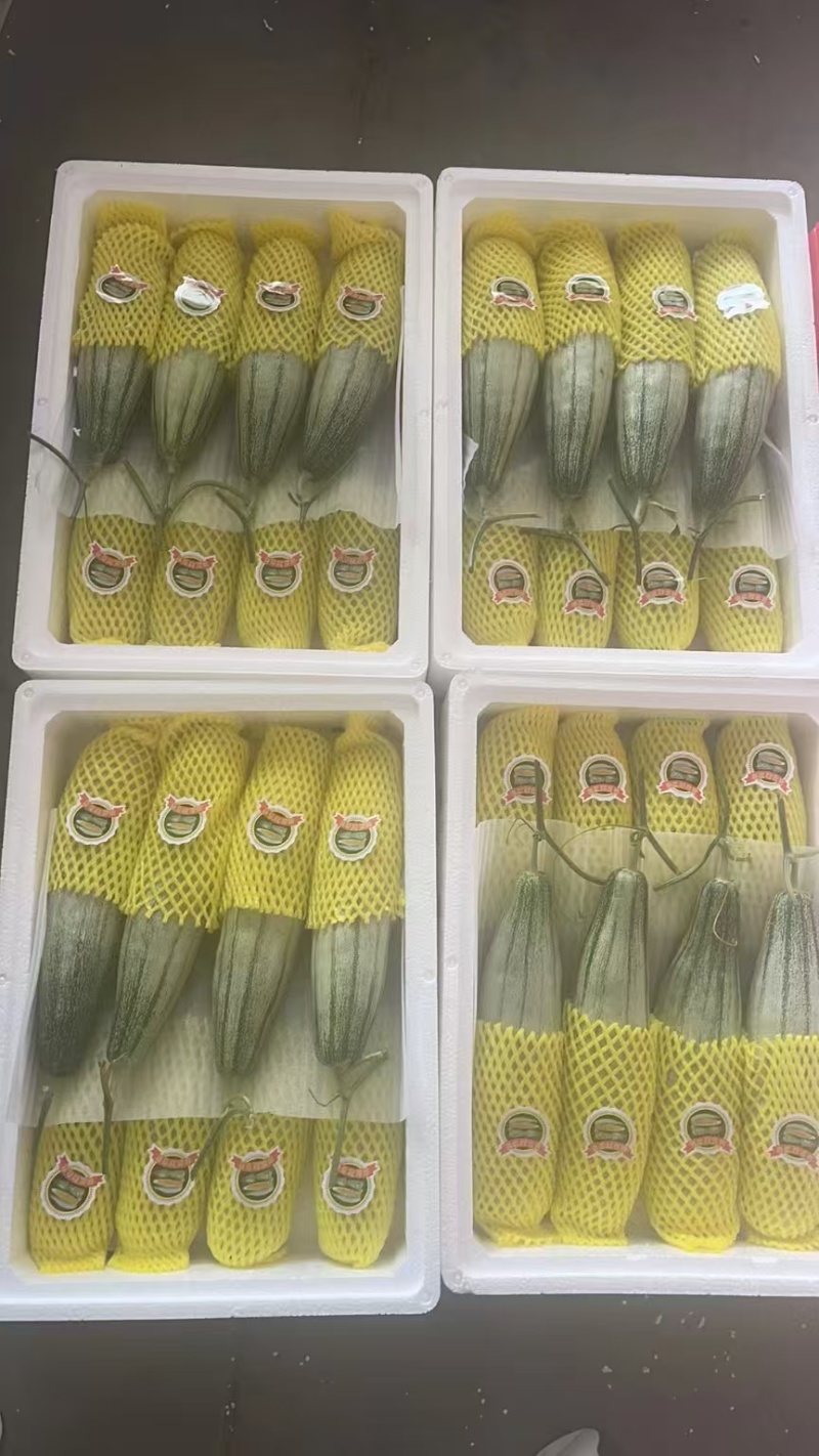 羊角蜜大量上市产地直发价格优惠欢迎来电洽谈价更优