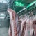 【优质猪肉】白条猪屠宰场直发，一手货源。规格齐全