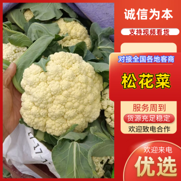松花菜有机菜花通许花菜产地直发品质保障量大优惠
