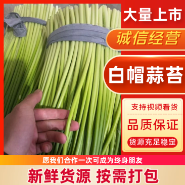 白帽蒜苔江苏产区直发质量保证价钱实惠