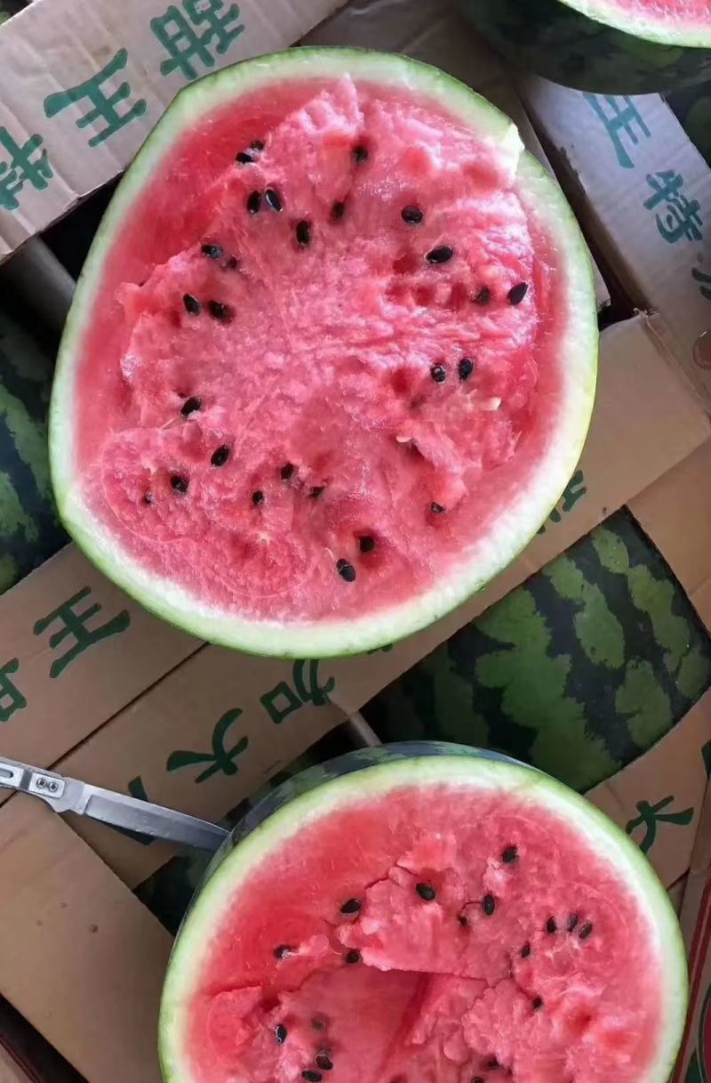 安徽无籽美都西瓜皮薄肉厚对接电商市场商超一手货源