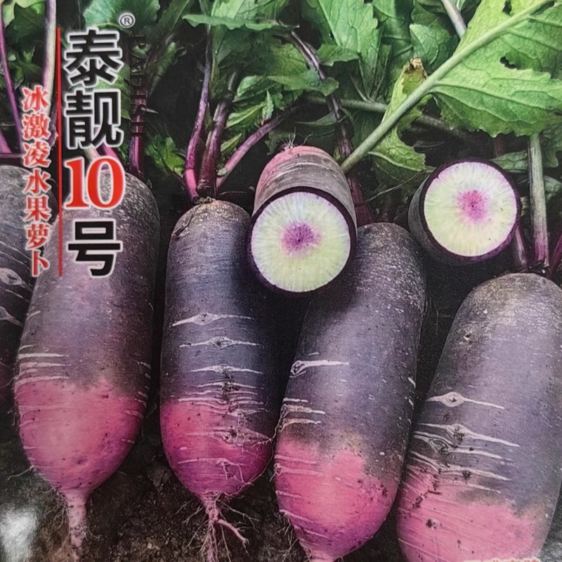 泰靓10号冰激凌萝卜种子杂交甜脆秋播紫皮冰淇淋水果萝卜种