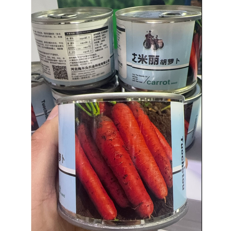 艾米丽胡萝卜种子中早熟品种红根胡萝卜种子