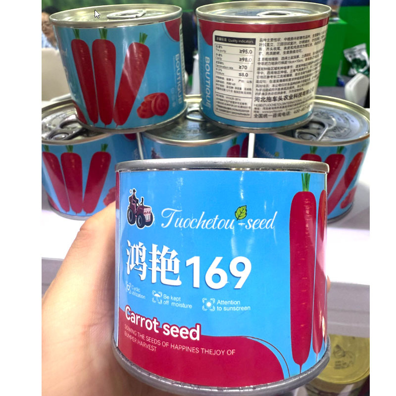 鸿艳169胡萝卜种子中晚熟半耐寒品种齐头收尾肉质橙红