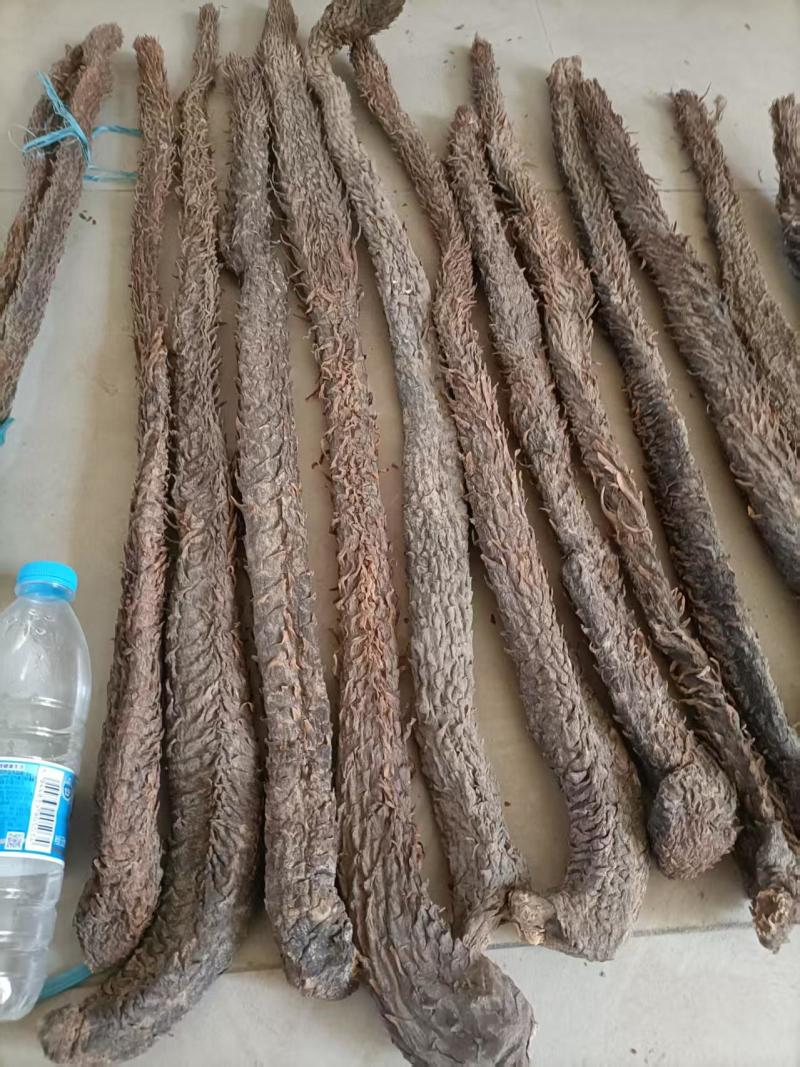【一斤起售】肉苁蓉干货厂家直销量大质优价格优惠
