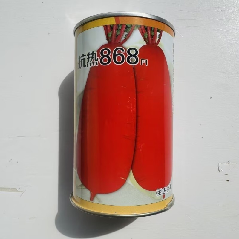 抗热868红萝卜种子耐热抗病皮色鲜红质脆多汁不糠心