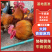 青脚麻鸡苗,红瑶土鸡,土鸡黑瑶,包运输包成活率