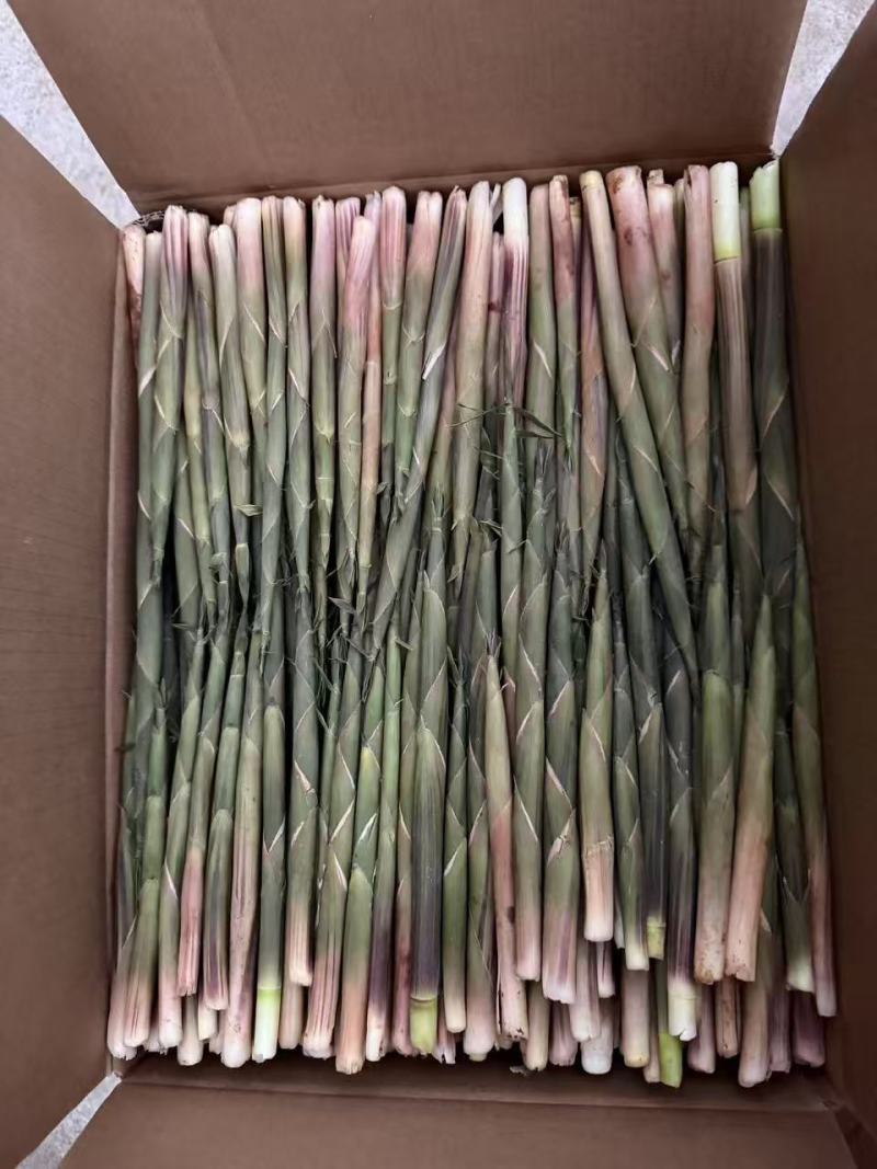 新鲜竹笋一手货源口感好价格优惠支持视频看货欢迎咨询