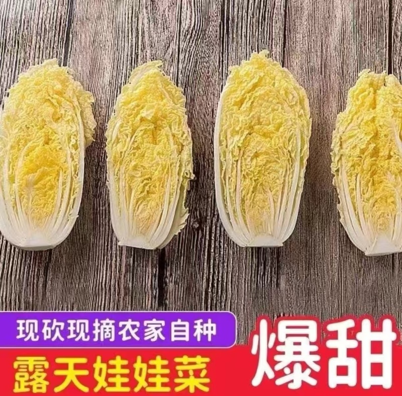 精品娃娃菜源头产地量大从优价格透明全国可发