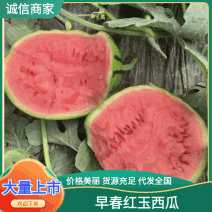 精品早春红玉，全美2k西瓜小糖丸西瓜，保证质量，要联系