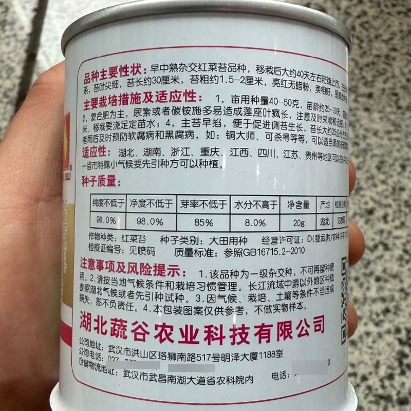 精品靓红6号红菜苔种子早中熟苔叶尖细亮红无蜡粉