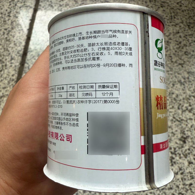 精品靓红6号红菜苔种子早中熟苔叶尖细亮红无蜡粉