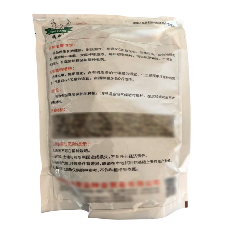 精选木茴香种子高产油绿大扁杆小茴香种子