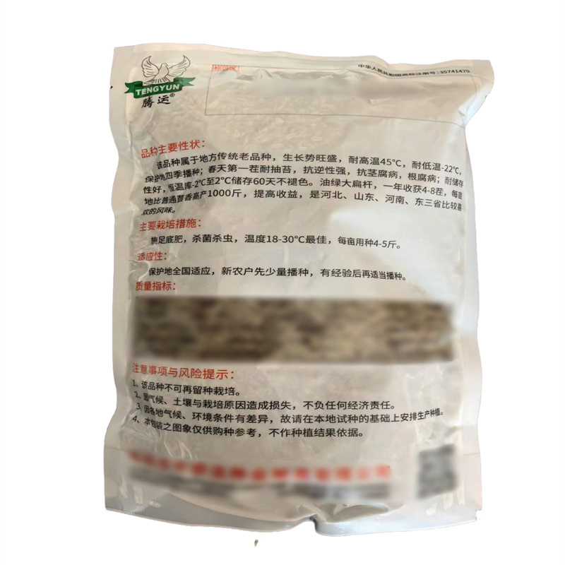 腾运本地木茴香种子耐热耐寒油绿大扁杆小茴香种子