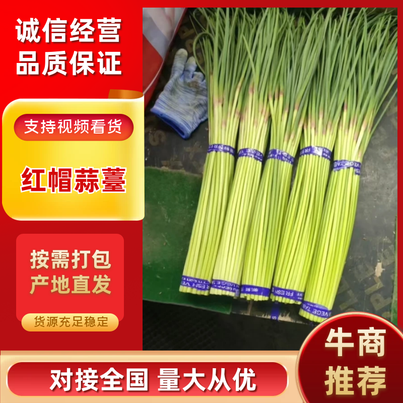 河南红帽蒜薹代收代存代加工对接电商市场商超