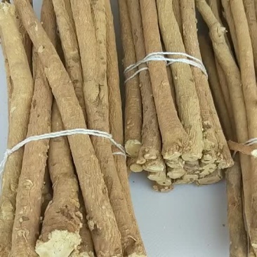 黄芪精选甘肃家种黄芪条节子.8-1.2产地一手货源中药材