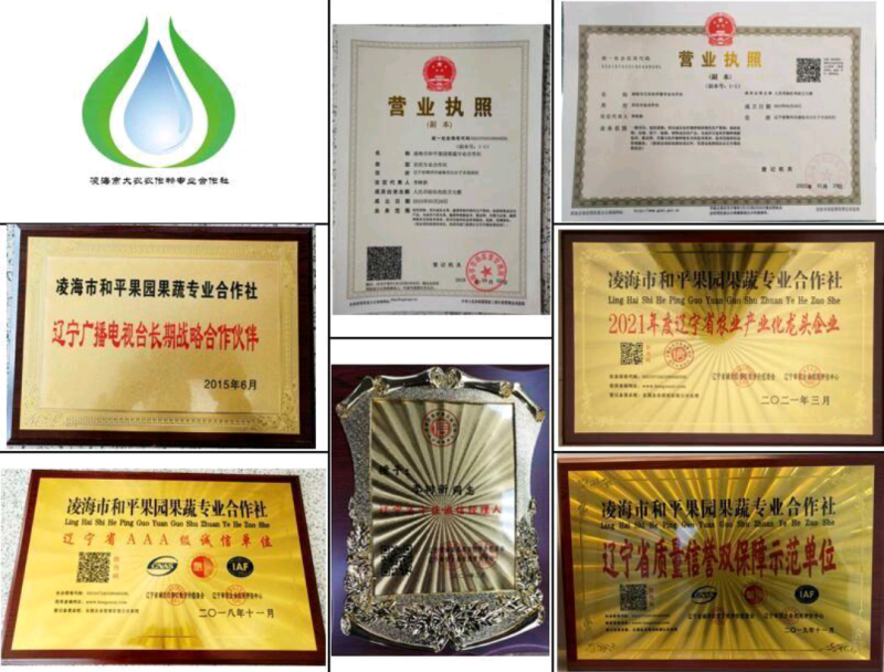 梨-深加原料-果汁/罐头/果酒/深加工原料(万亩主产区)