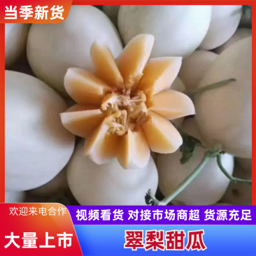 山东翠梨甜瓜新货上市一手货源甜度高汁水足量大价优品质保证