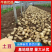 土豆河北土豆大量供应规格齐全供应市场电商商超